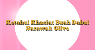 Ketahui Khasiat Buah Dabai Sarawak Olive