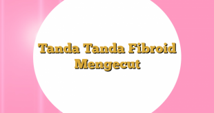 Tanda Tanda Fibroid Mengecut